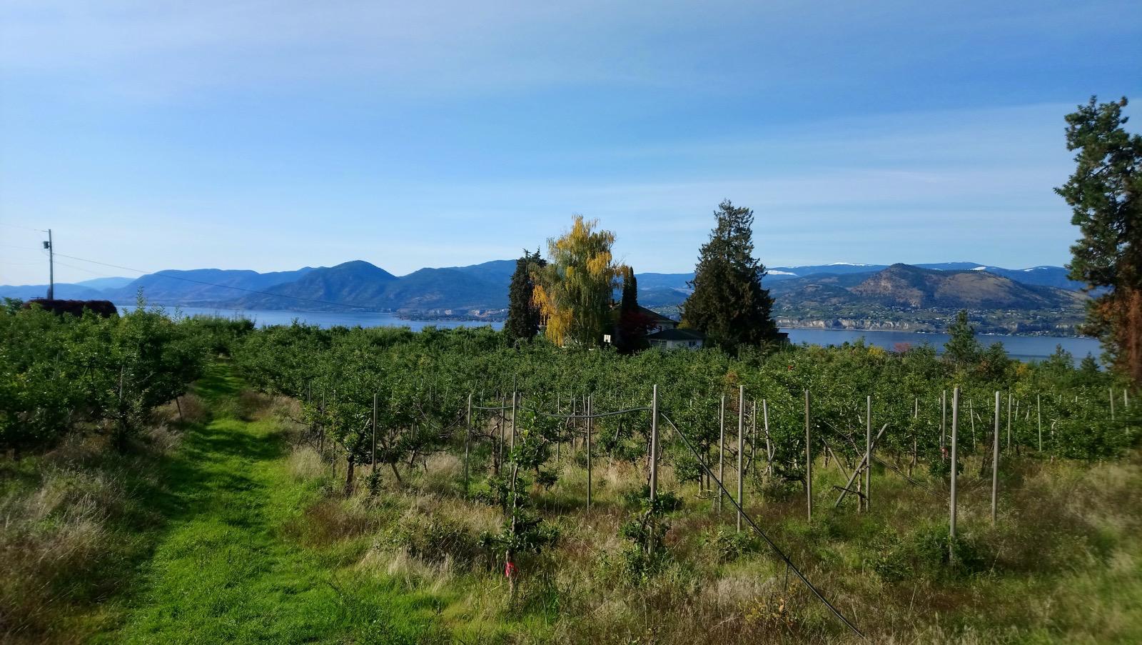 https://hancockcraftcider.com/wp-content/uploads/2025/06/HofAusblick.jpeg